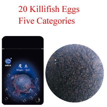 Water Plus Soil Hatch Out Fishes Medaka Killifish Eggs Top Magic Living Animal Growing Live Christmas Toys Novelties 20 Eggs/Lot